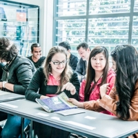 language-programme-4-of-7