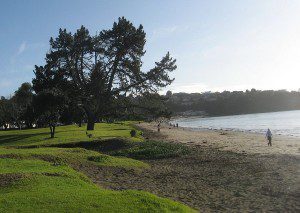 Corelli2 - Browns Bay