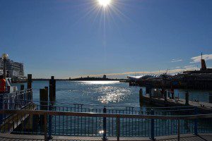 10550848_773328502718689_3442231366144462911_n