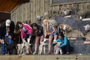 10687186_834756543242551_8251512676260270497_n