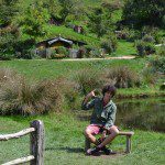 10153036_713522282032645_1165752596_n