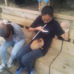 Thai group Glenfield College Feb - March 2014 part1 (13)