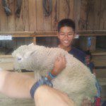 Thai group Glenfield College Feb - March 2014 part1 (15)