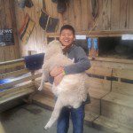 Thai group Glenfield College Feb - March 2014 part1 (16)