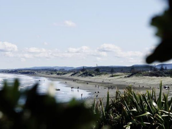 NZEE Surf Day Out at Muriwai Beach - Image 2