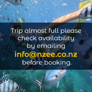Fiji Trip - April 2026